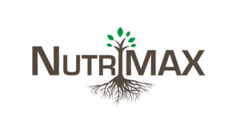 10 Best Supplements Stores in Singapore 2024