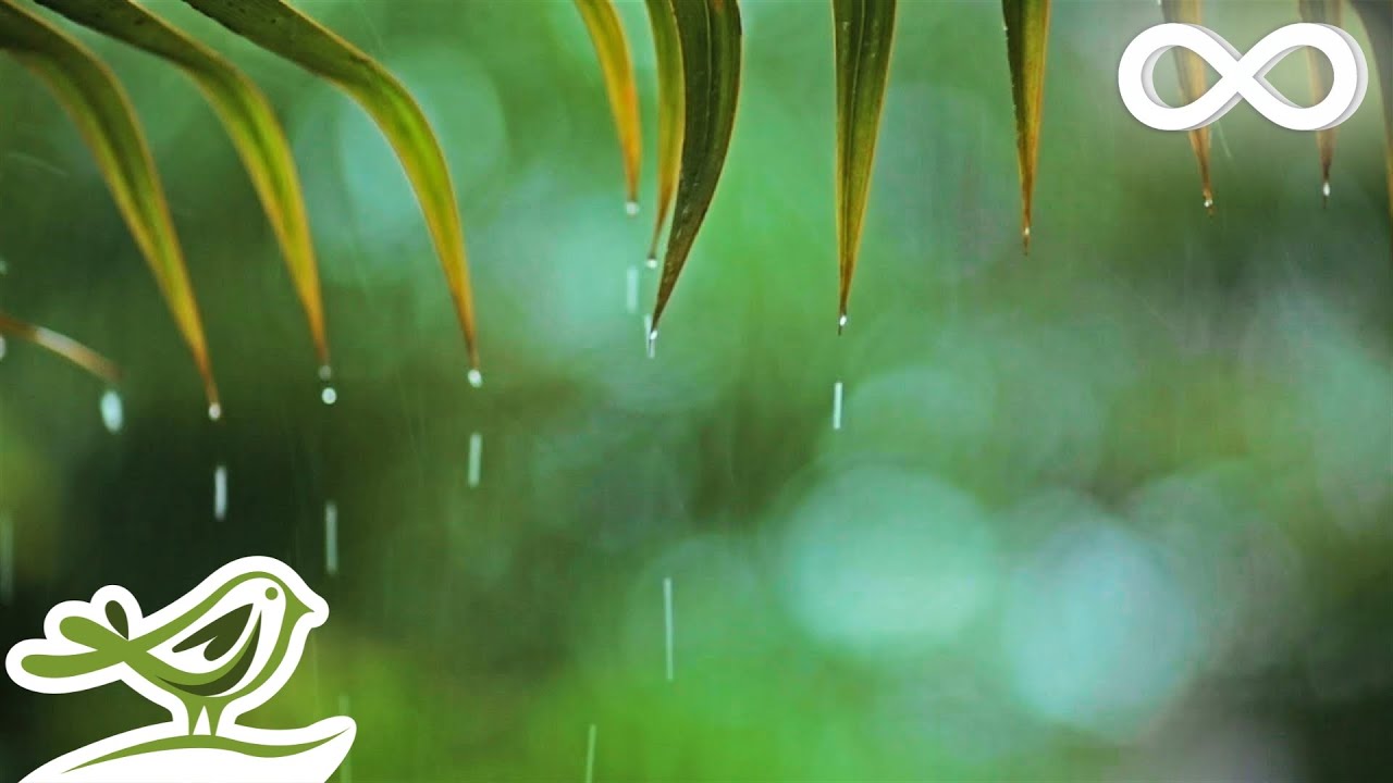 You & Me: Relaxing Piano Music & Soft Rain Sounds For Sleep & Relaxation by Peder B. Helland