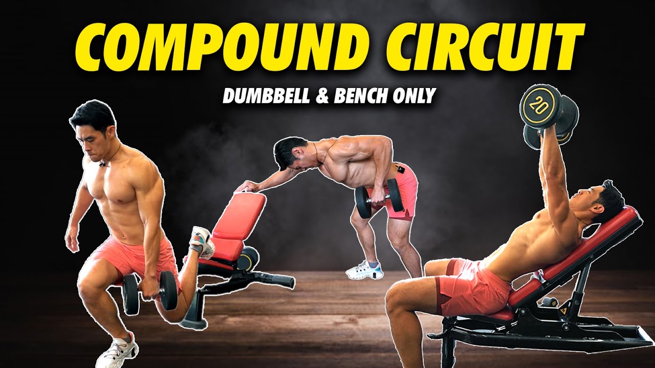 Full Body Dumbbell Circuit | Strengthening & Weightloss