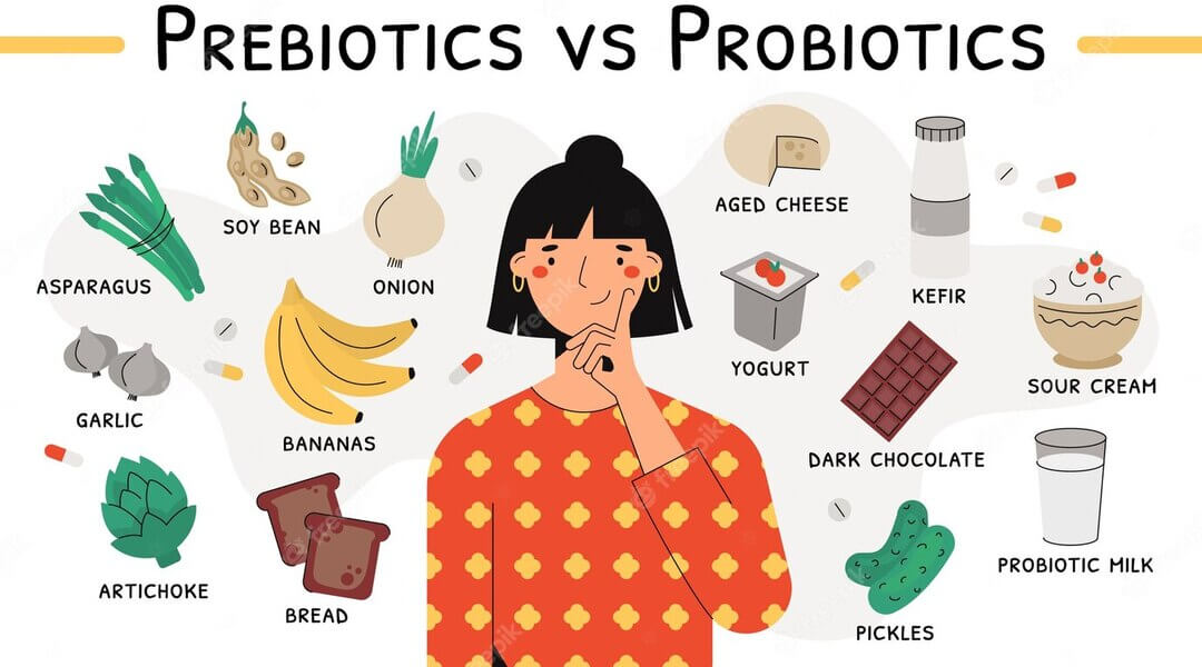 difference between prebiotic and probiotic